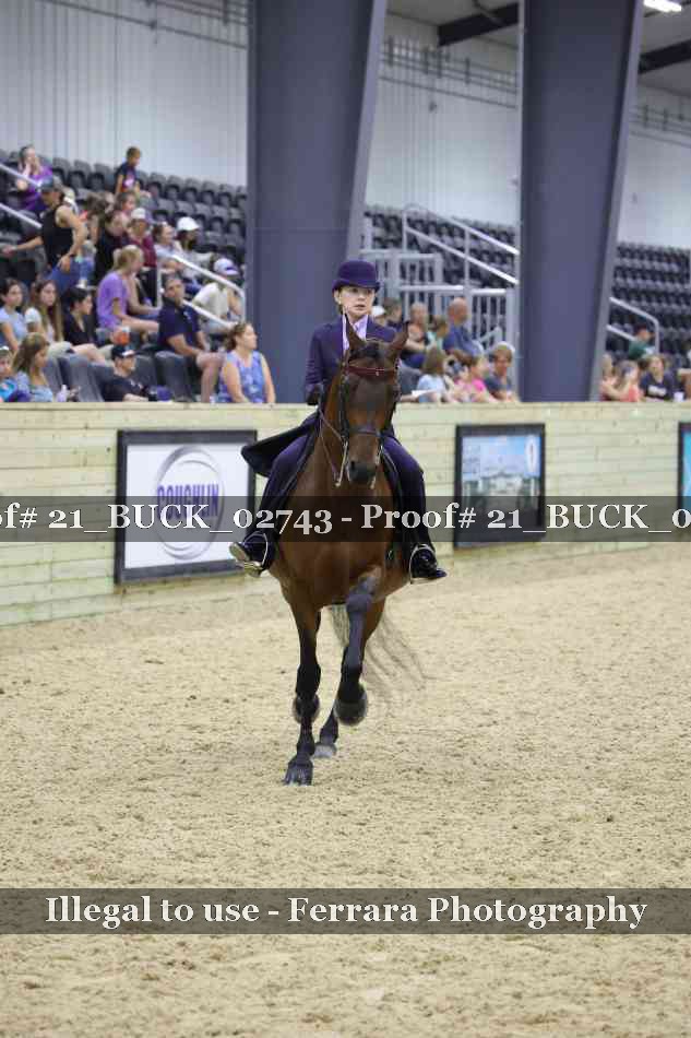Proof 21_BUCK_02743