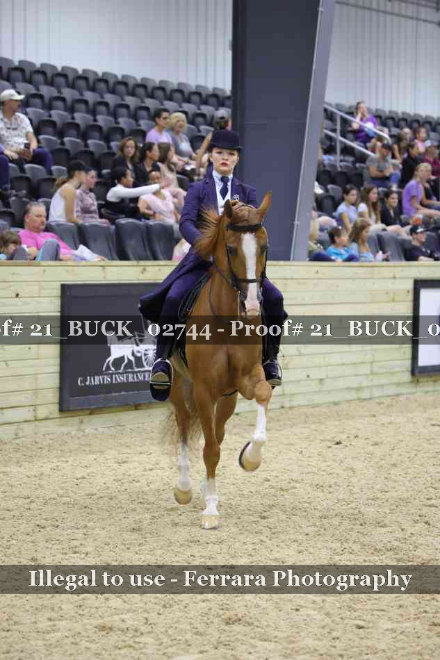 Proof 21_BUCK_02744