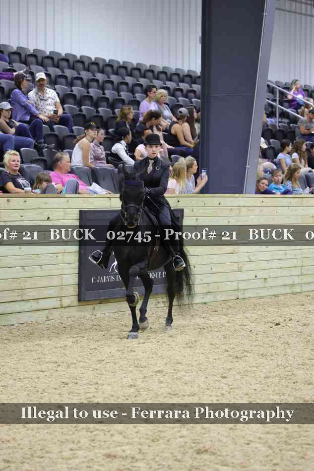 Proof 21_BUCK_02745