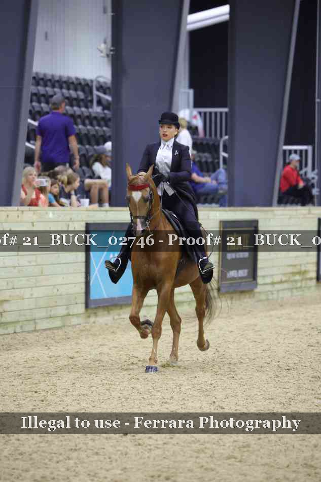 Proof 21_BUCK_02746