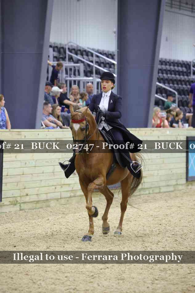 Proof 21_BUCK_02747
