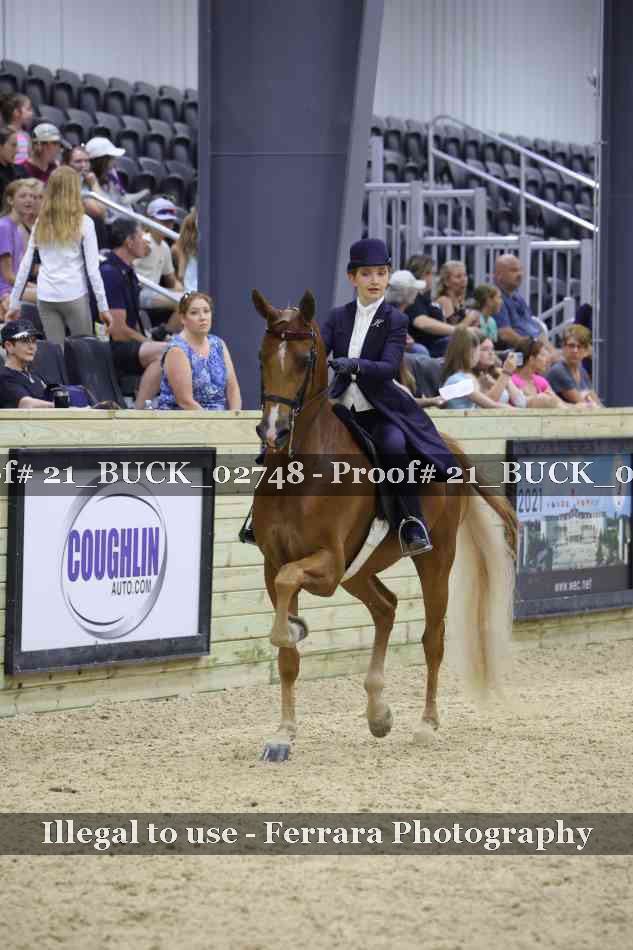 Proof 21_BUCK_02748