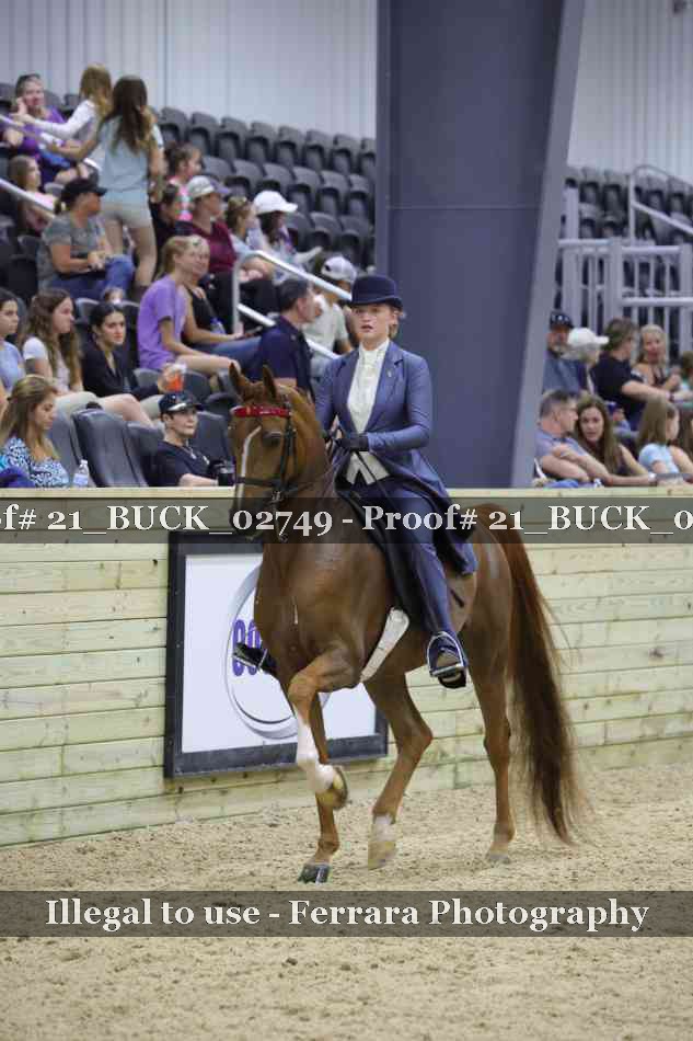 Proof 21_BUCK_02749