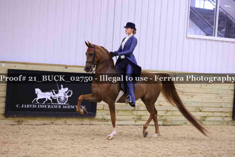 Proof 21_BUCK_02750