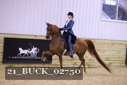 21_BUCK_02750 proof