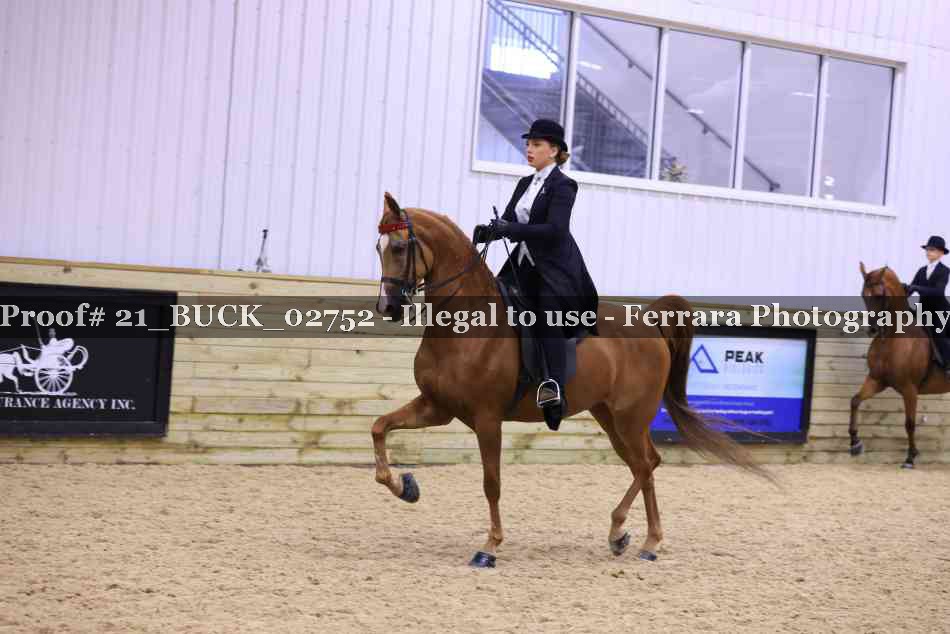 Proof 21_BUCK_02752