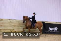 21_BUCK_02753 proof