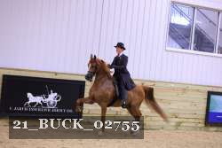 21_BUCK_02755 proof