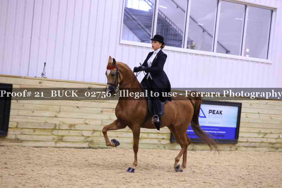 Proof 21_BUCK_02756