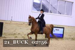 21_BUCK_02756 proof