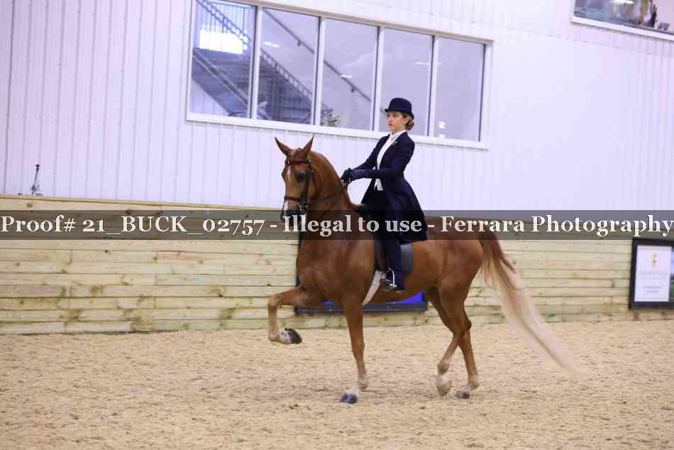 Proof 21_BUCK_02757