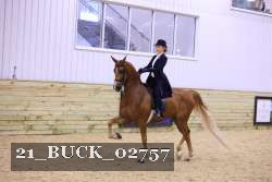 21_BUCK_02757 proof