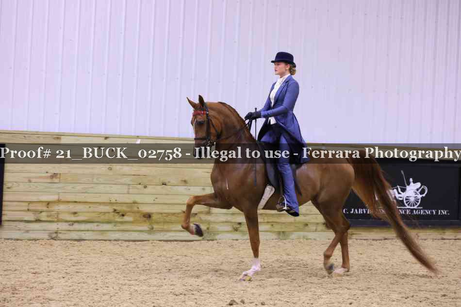 Proof 21_BUCK_02758