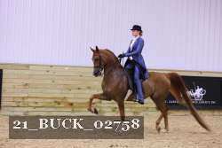 21_BUCK_02758 proof