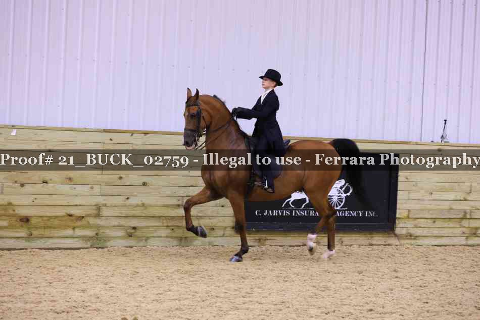 Proof 21_BUCK_02759