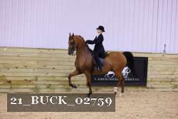 21_BUCK_02759 proof
