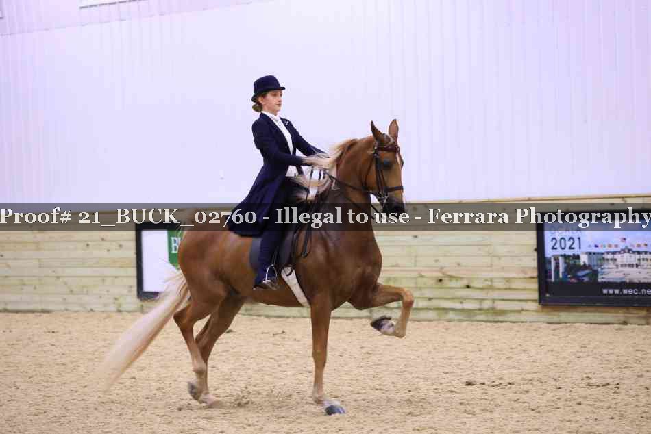Proof 21_BUCK_02760