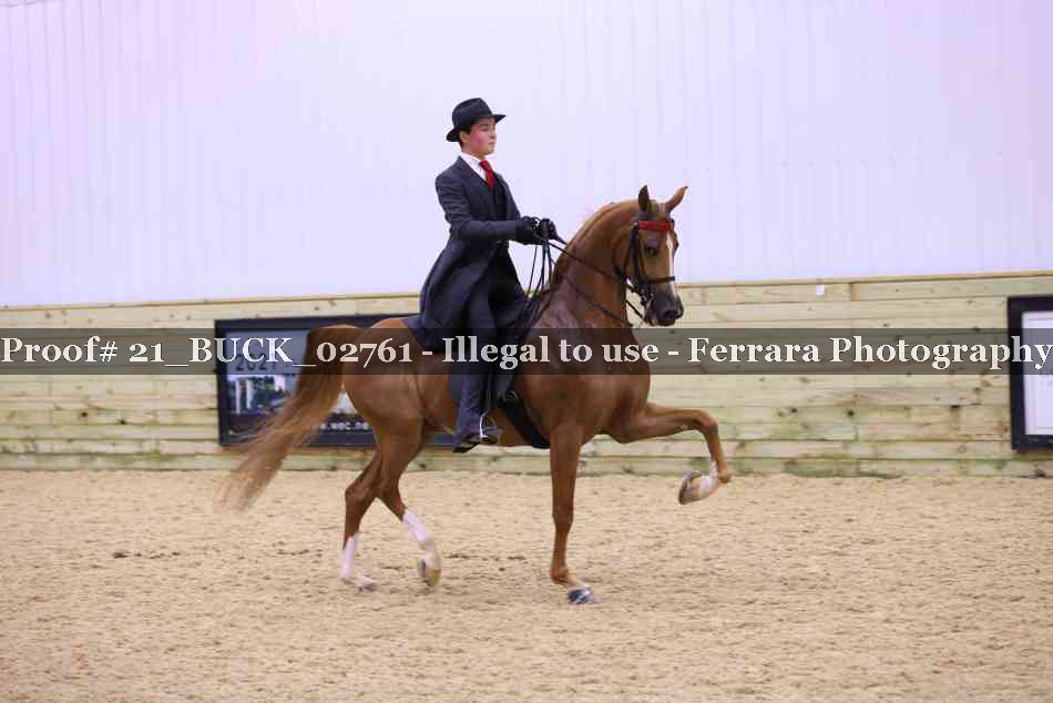 Proof 21_BUCK_02761