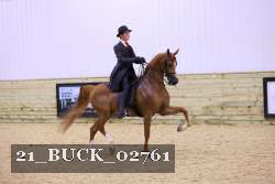 21_BUCK_02761 proof