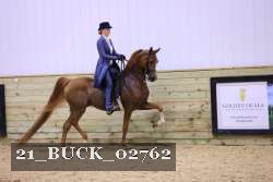 21_BUCK_02762 proof