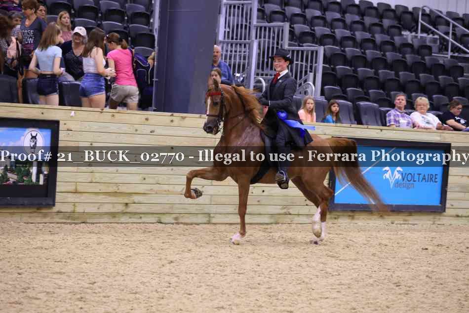 Proof 21_BUCK_02770