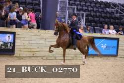 21_BUCK_02770 proof