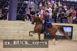 21_BUCK_02771 proof