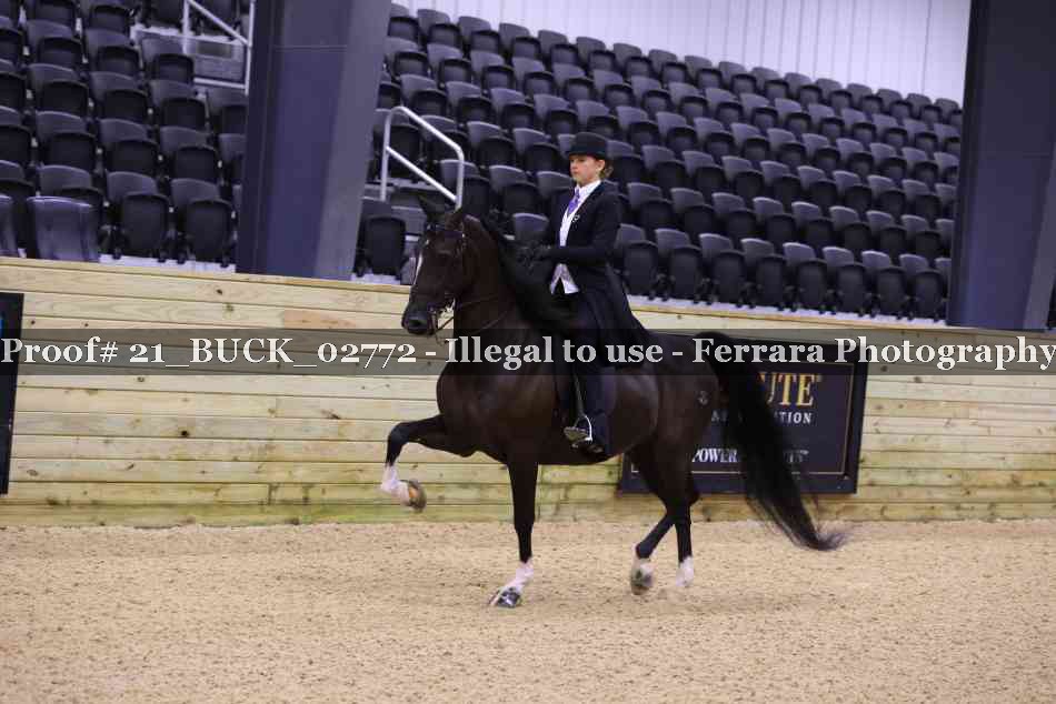 Proof 21_BUCK_02772
