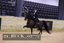 21_BUCK_02772 proof