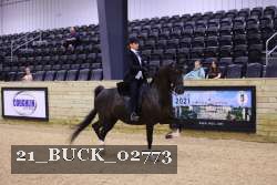 21_BUCK_02773 proof