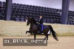 21_BUCK_02774 proof