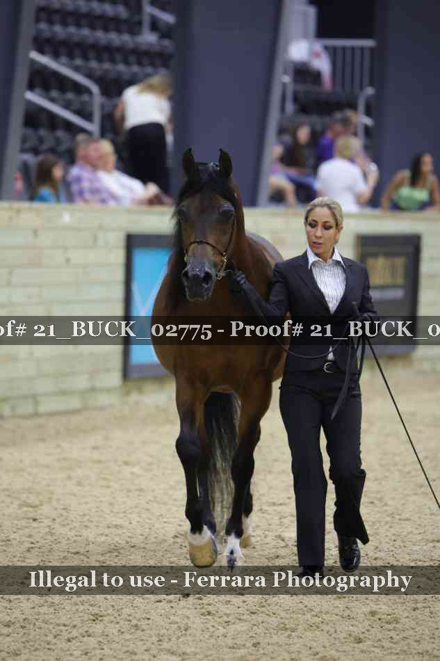 Proof 21_BUCK_02775