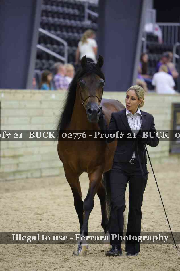Proof 21_BUCK_02776