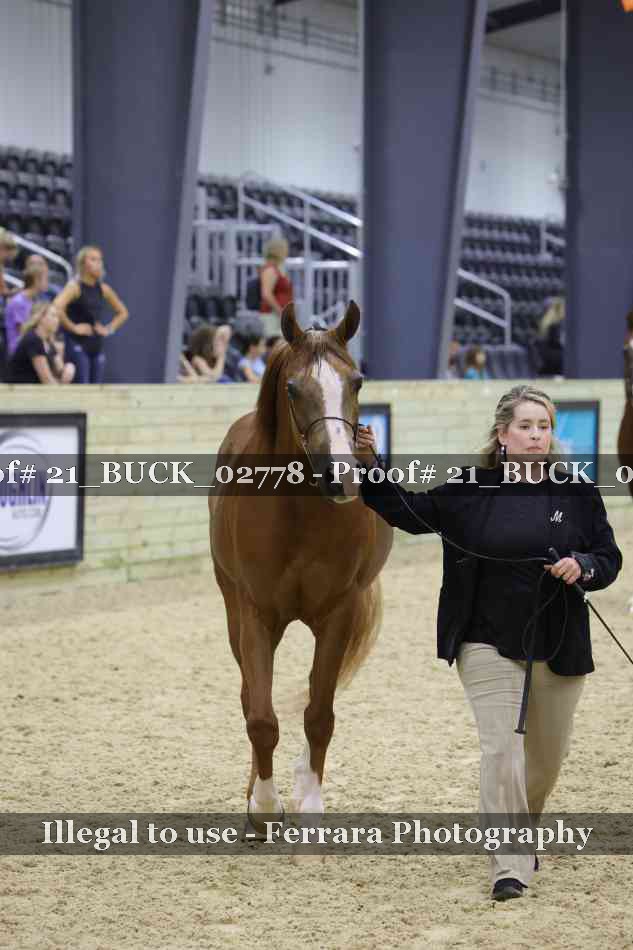 Proof 21_BUCK_02778