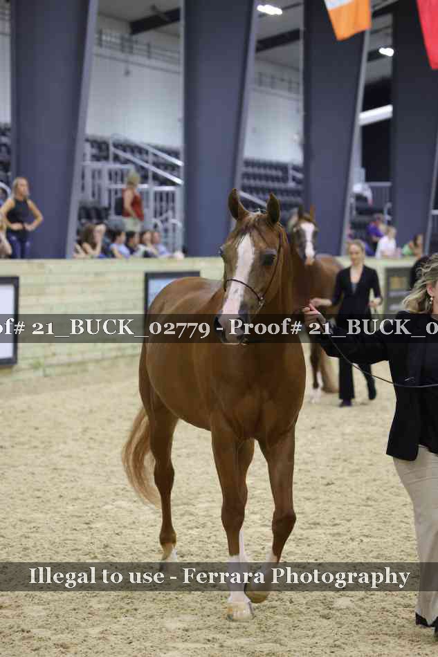 Proof 21_BUCK_02779