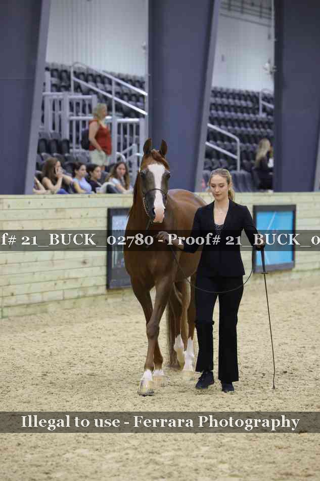 Proof 21_BUCK_02780