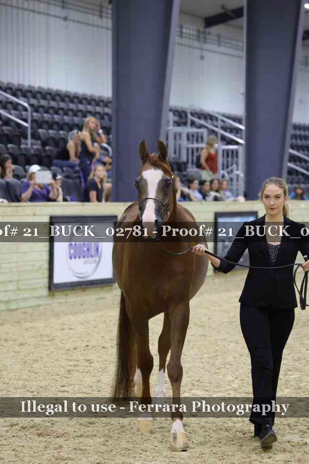 Proof 21_BUCK_02781