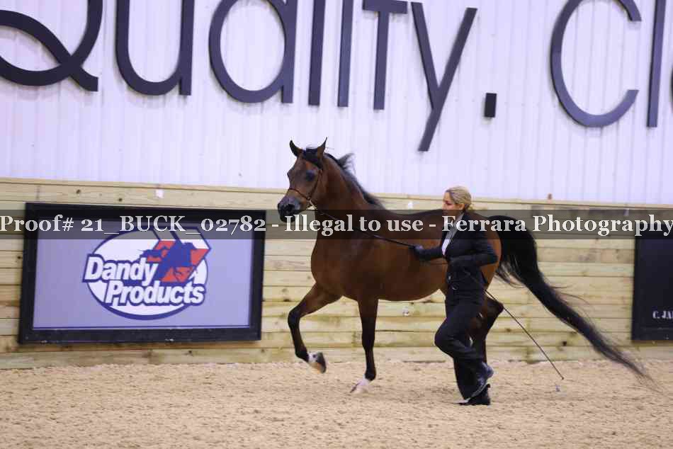 Proof 21_BUCK_02782