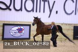21_BUCK_02782 proof