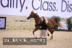 21_BUCK_02783 proof