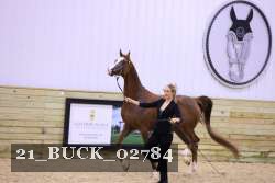 21_BUCK_02784 proof