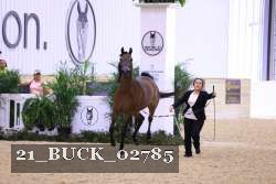 21_BUCK_02785 proof