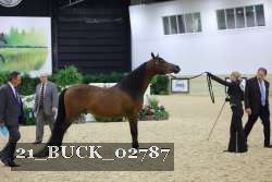 21_BUCK_02787 proof