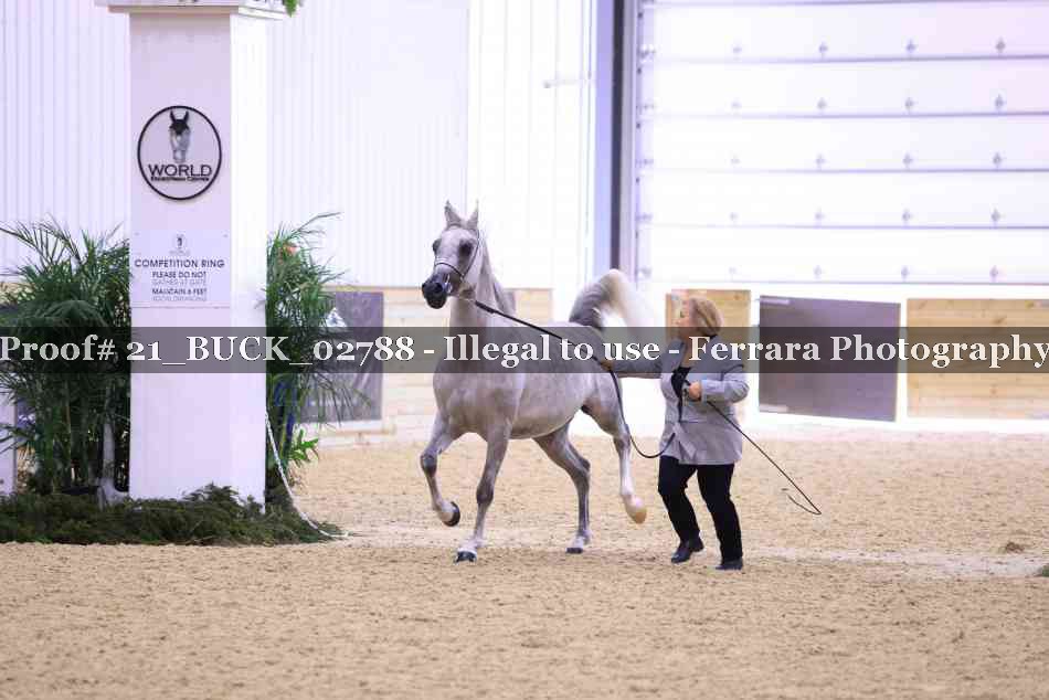 Proof 21_BUCK_02788