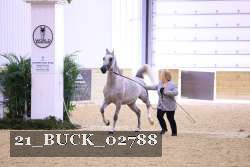 21_BUCK_02788 proof