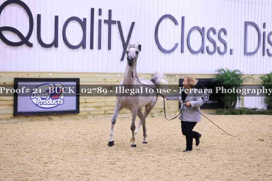 Proof 21_BUCK_02789