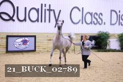 21_BUCK_02789 proof
