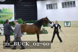 21_BUCK_02790 proof