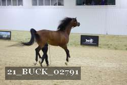 21_BUCK_02791 proof
