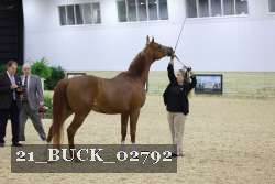 21_BUCK_02792 proof